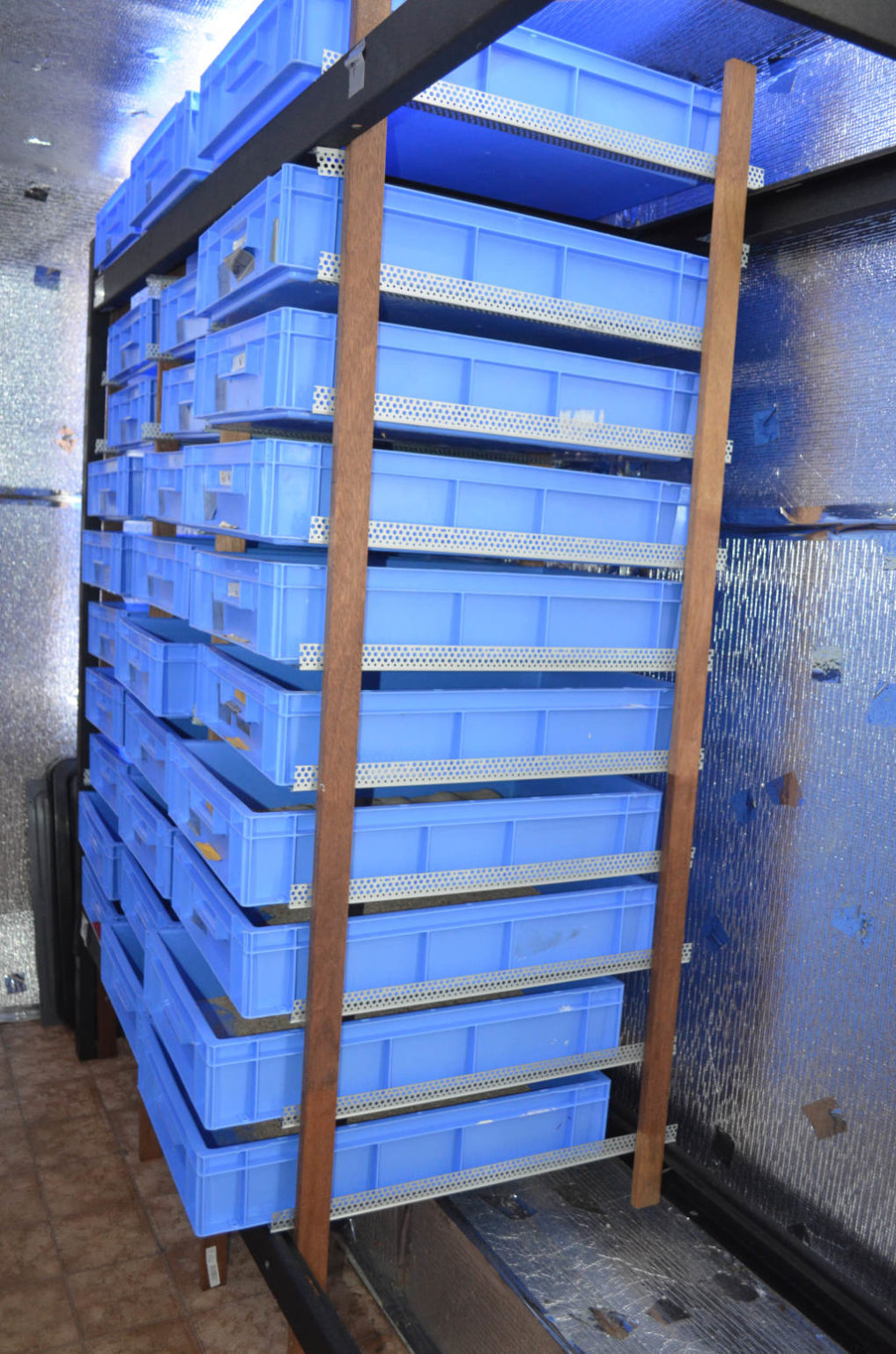 Building Metal Mealworm Shelving - Your Insect Breeding Learning Centre