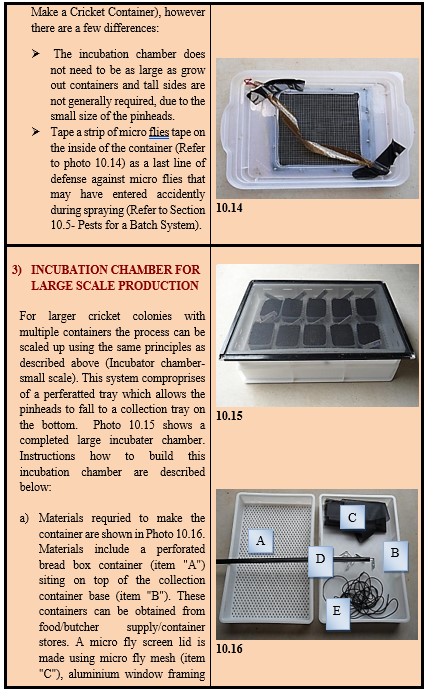 Making A Batch Breeding System - Your Insect Breeding Learning Centre