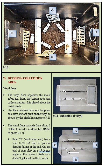 Making A Substrate Breeding System Your Insect Breeding Learning Centre 